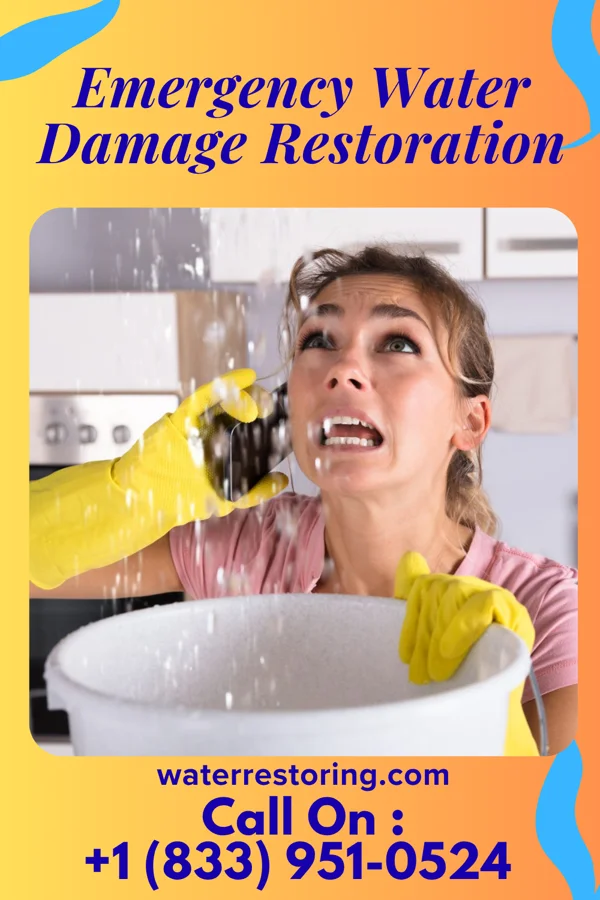 Emergency Water Damage Restoration in Thornton, TX