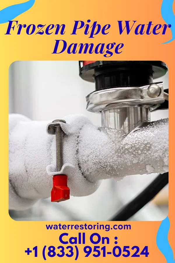 Frozen Pipe Water Damage in Thornton, TX