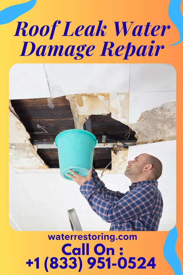 Roof Leak Water Damage Repair in Thornton, TX