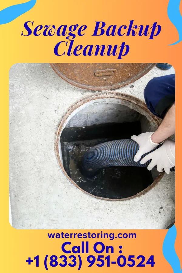 Sewage Backup Cleanup in Thornton, TX