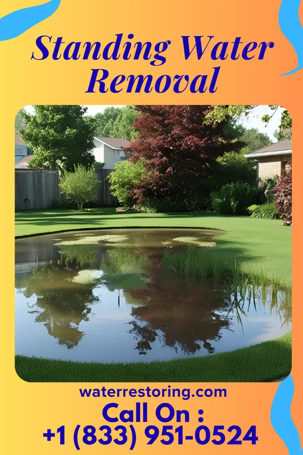 Standing Water Removal in Thornton, TX